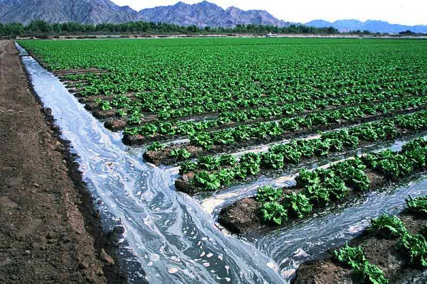 بخش کشاورزی مصرف کننده بیش از ۹۰ درصد آب‌های سطحی و زیرزمینی
