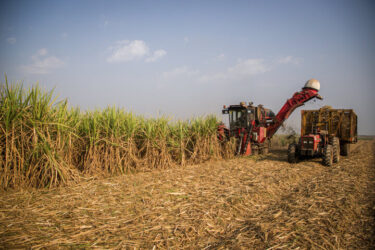 پیشنهاد ترویج فرهنگ برره ای توسط برخی افراد معلوم الحال به جوانان جویای کار در شهرستان کرخه پیشنهاد ترویج فرهنگ برره ای توسط برخی افراد معلوم الحال به جوانان جویای کار در شهرستان کرخه