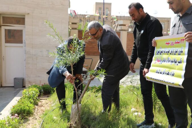 آئین کاشت دو اصله نهال درخت بنام دو شهید در ستاد مرکزی برق اهواز