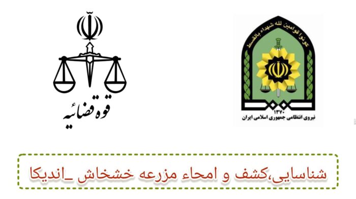 کشف تقریبی ۵ هزار متر مزرعه خشخاش در اندیکا