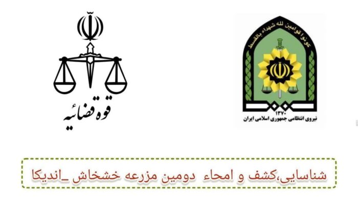 ️کشف مزرعه خشخاش در اندیکا