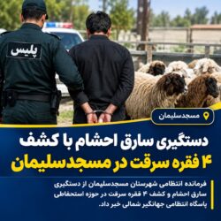 دستگیری سارق احشام در مسجدسلیمان