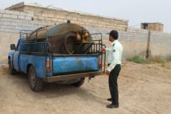 کشف بیش از یک هزار لیتر سوخت قاچاق در مسجدسلیمان