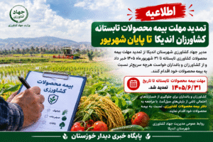 تمدید مهلت بیمه محصولات تابستانه کشاورزان اندیکا تا پایان شهریور