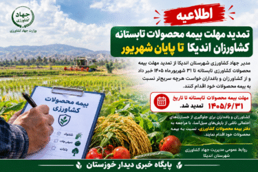 تمدید مهلت بیمه محصولات تابستانه کشاورزان اندیکا تا پایان شهریور