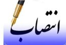 ۶ مدیر جدید در شهرداری مسجدسلیمان منصوب شدند