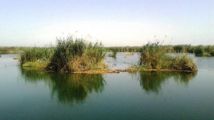 تامین حقابه تالاب بین المللی شادگان از کشت و صنعت‌های نیشکر خوزستان
