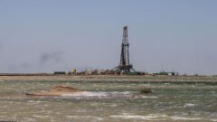 الزامات محیط زیستی اولویت فعالیت‌های نفتی در تالاب هورالعظیم است